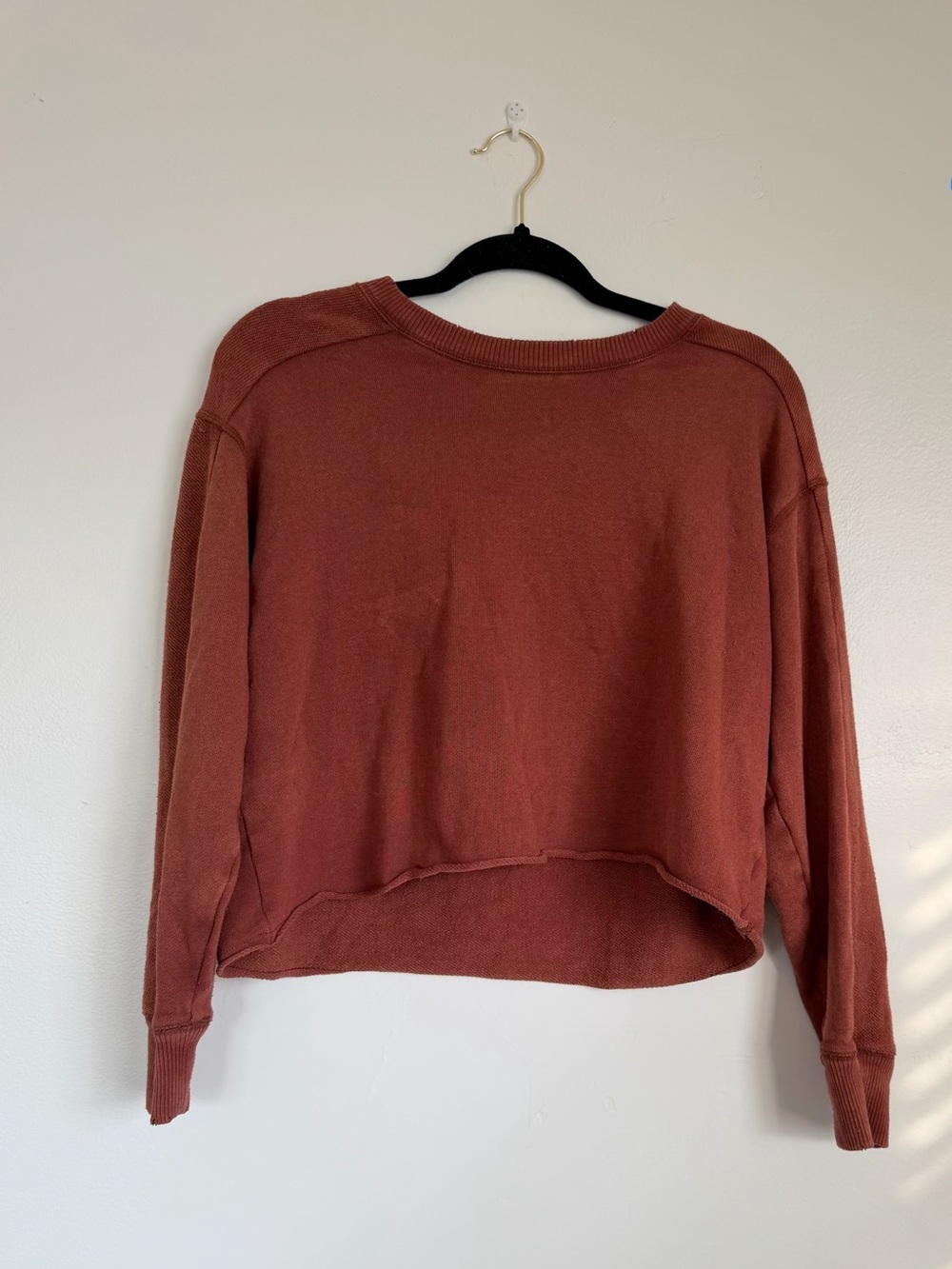 aerie Cropped Crewneck Sweatshirt in Rust